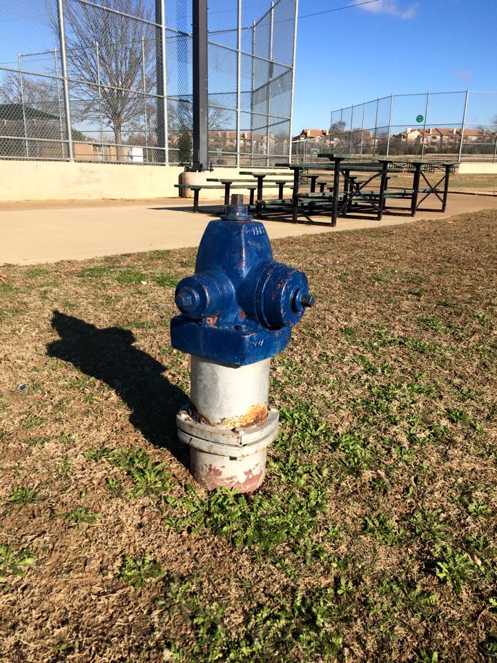 10906096_10205873919911500_193745042211303353_n